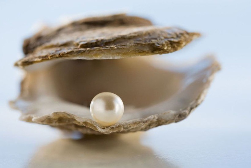 Eleganza luminosa: Le perle come protagoniste dei gioielli